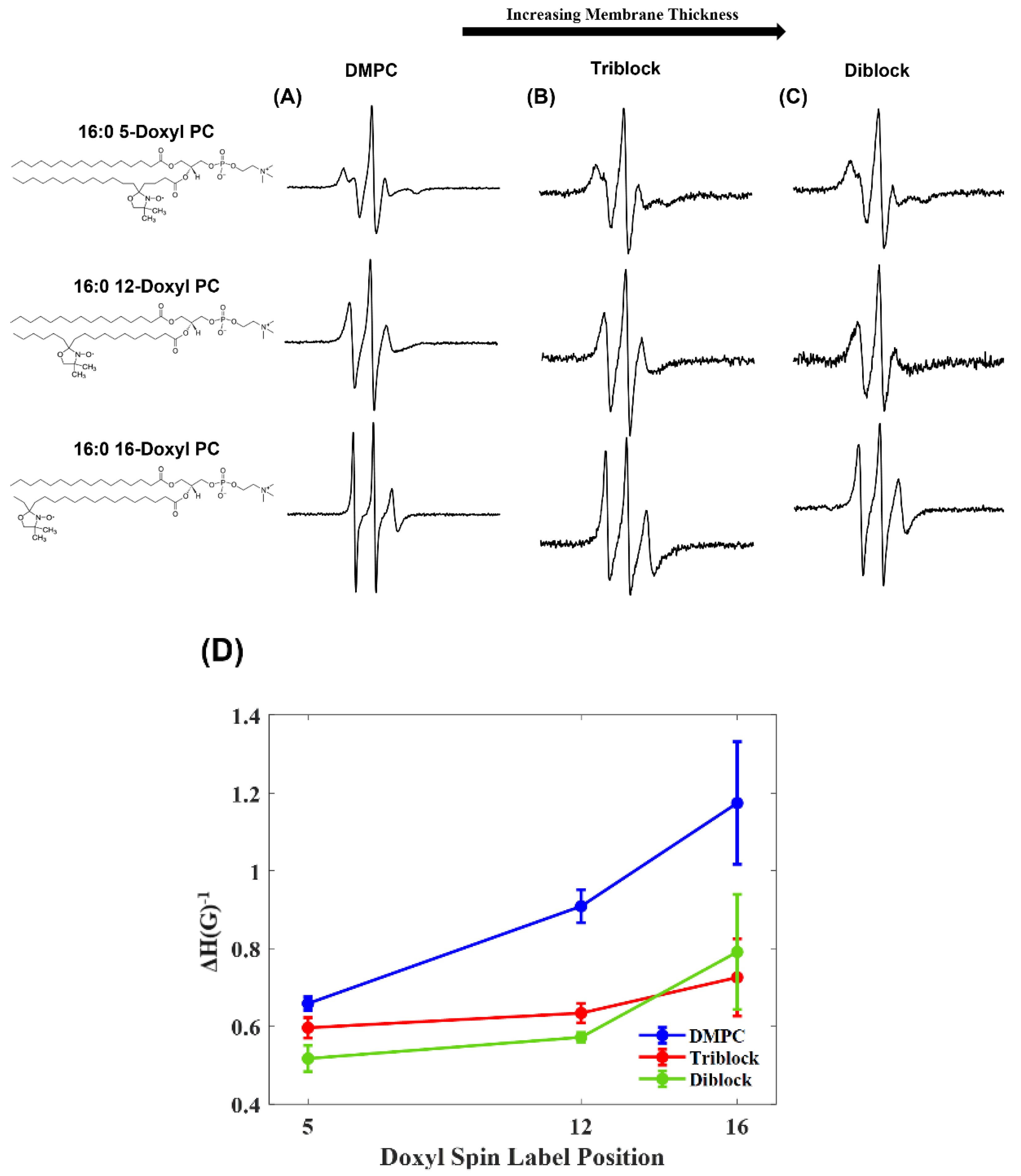 Biomimetics 10 00154 g001