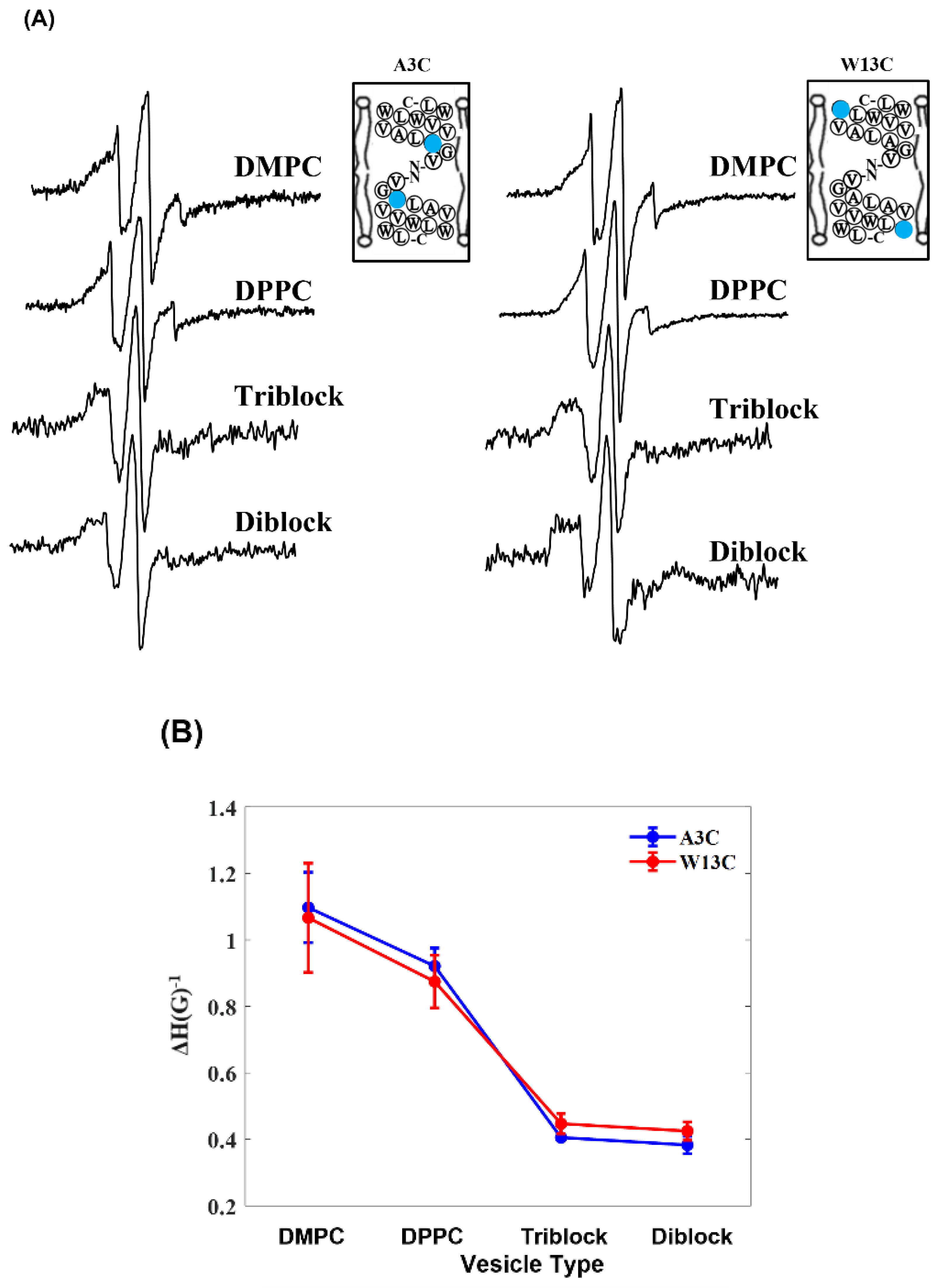 Biomimetics 10 00154 g002