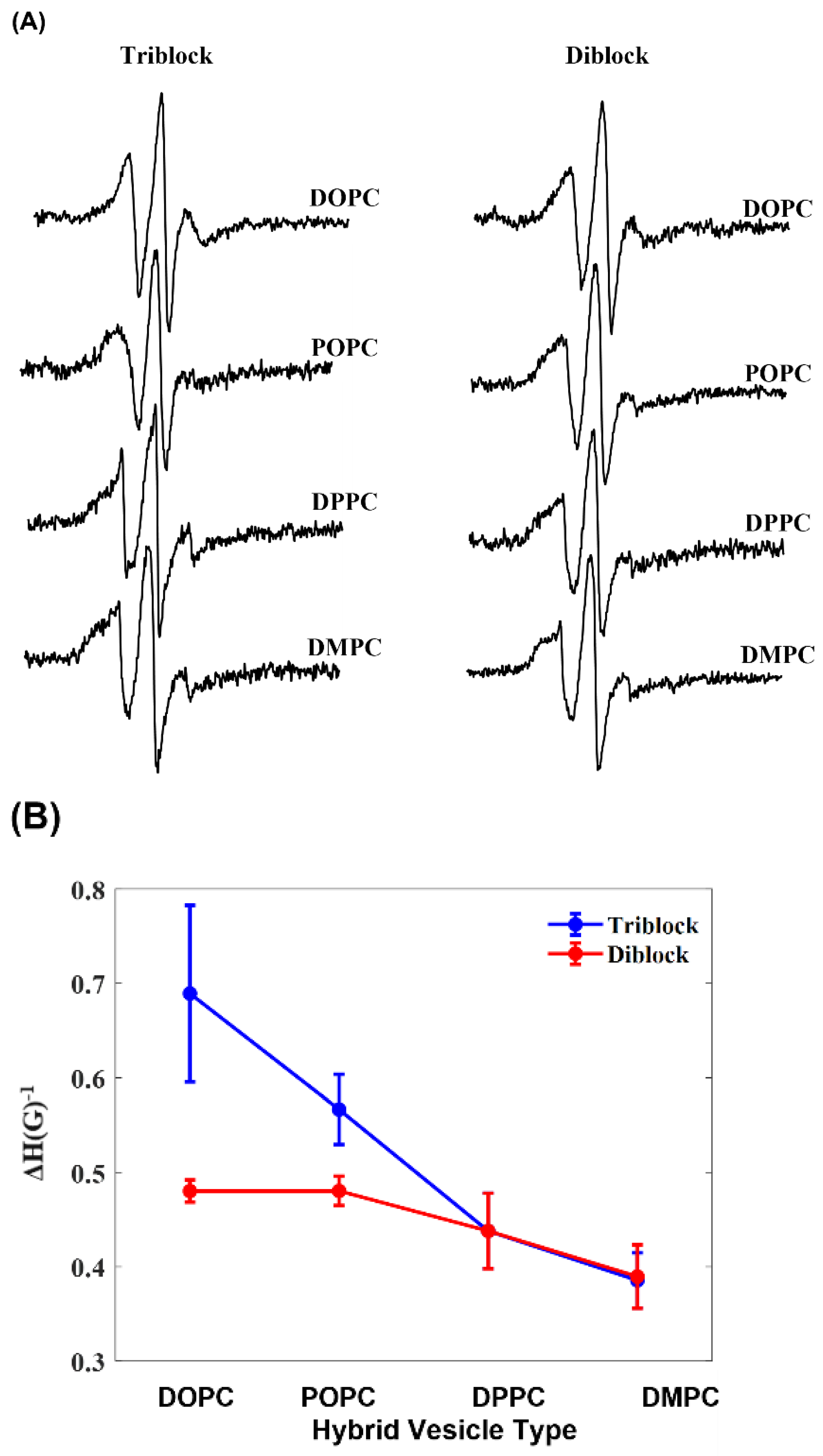 Biomimetics 10 00154 g003