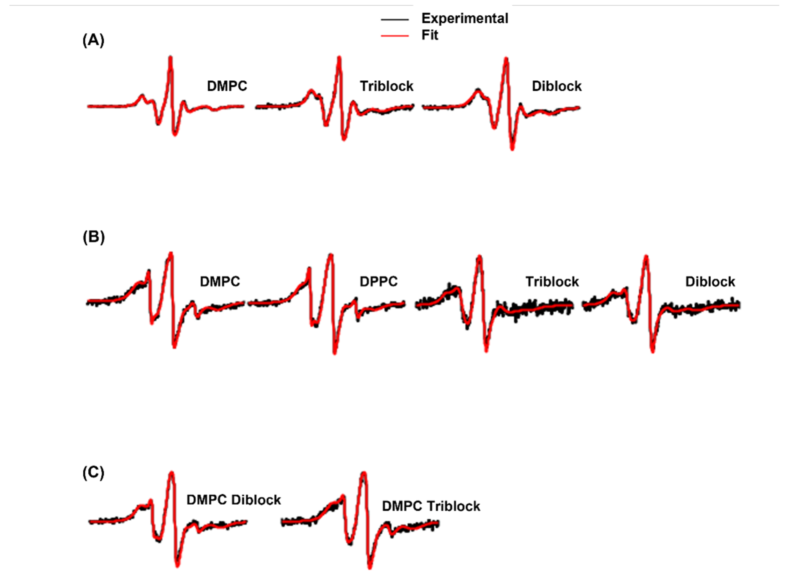 Biomimetics 10 00154 g004