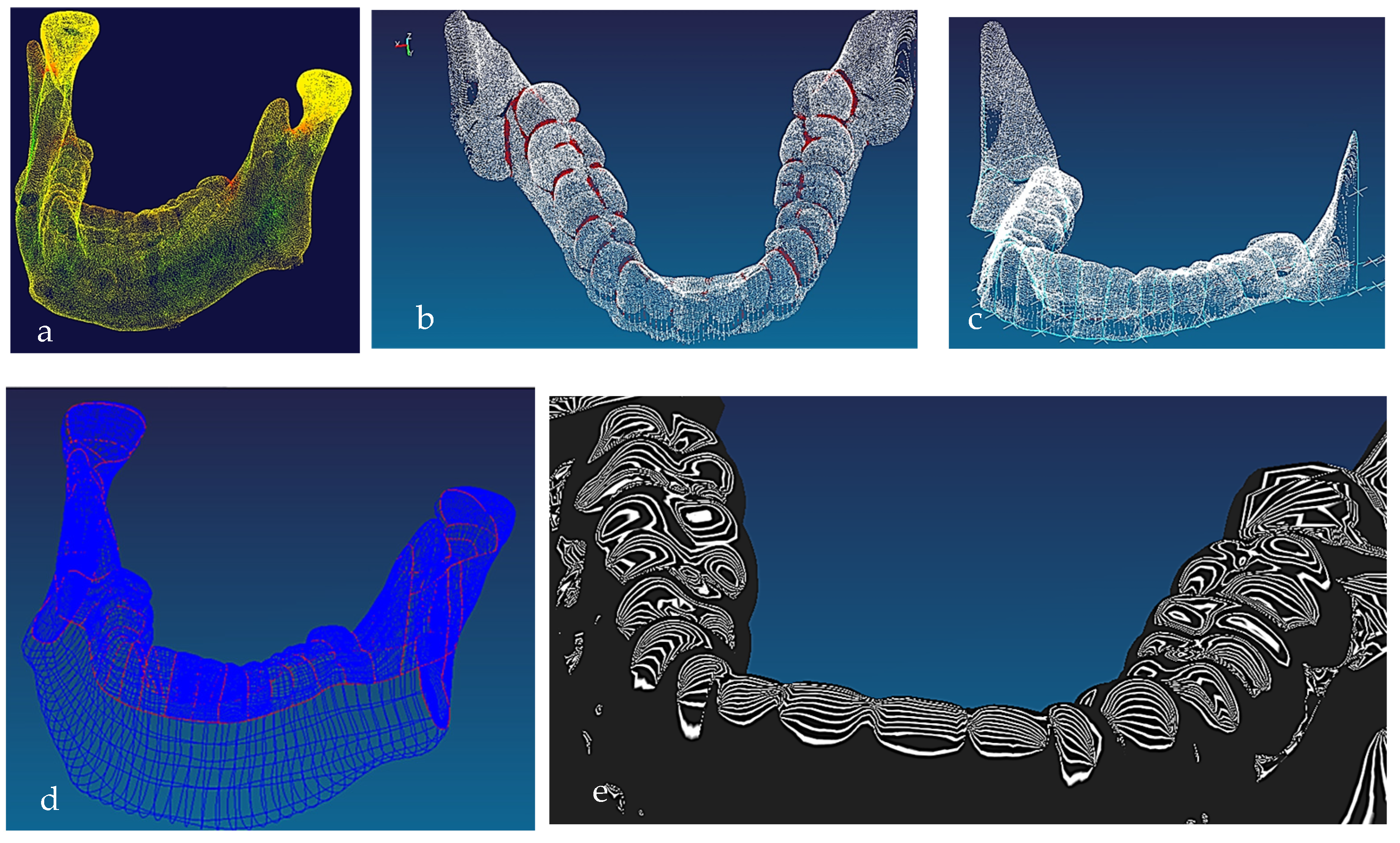 Biomimetics 10 00158 g007