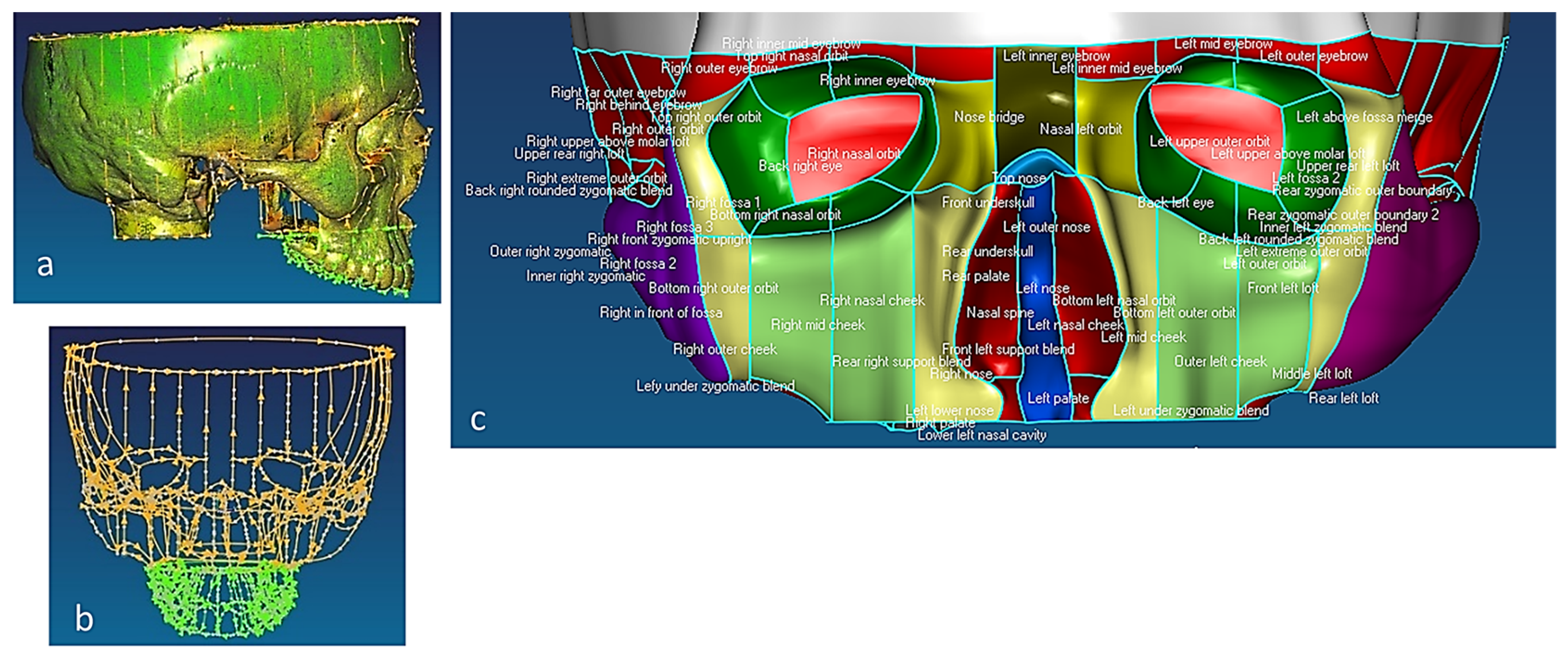 Biomimetics 10 00158 g010
