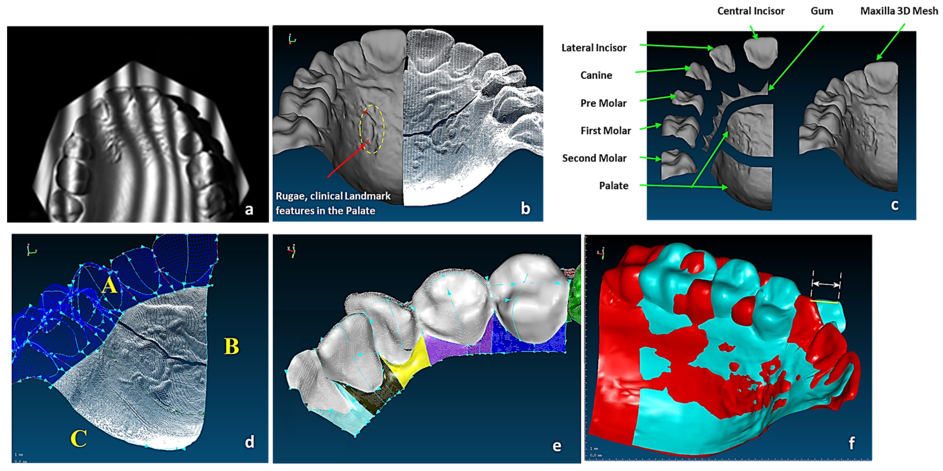 Biomimetics 10 00158 g033