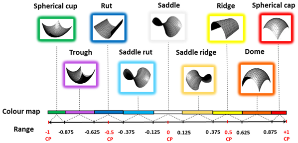 Biomimetics 10 00158 i011