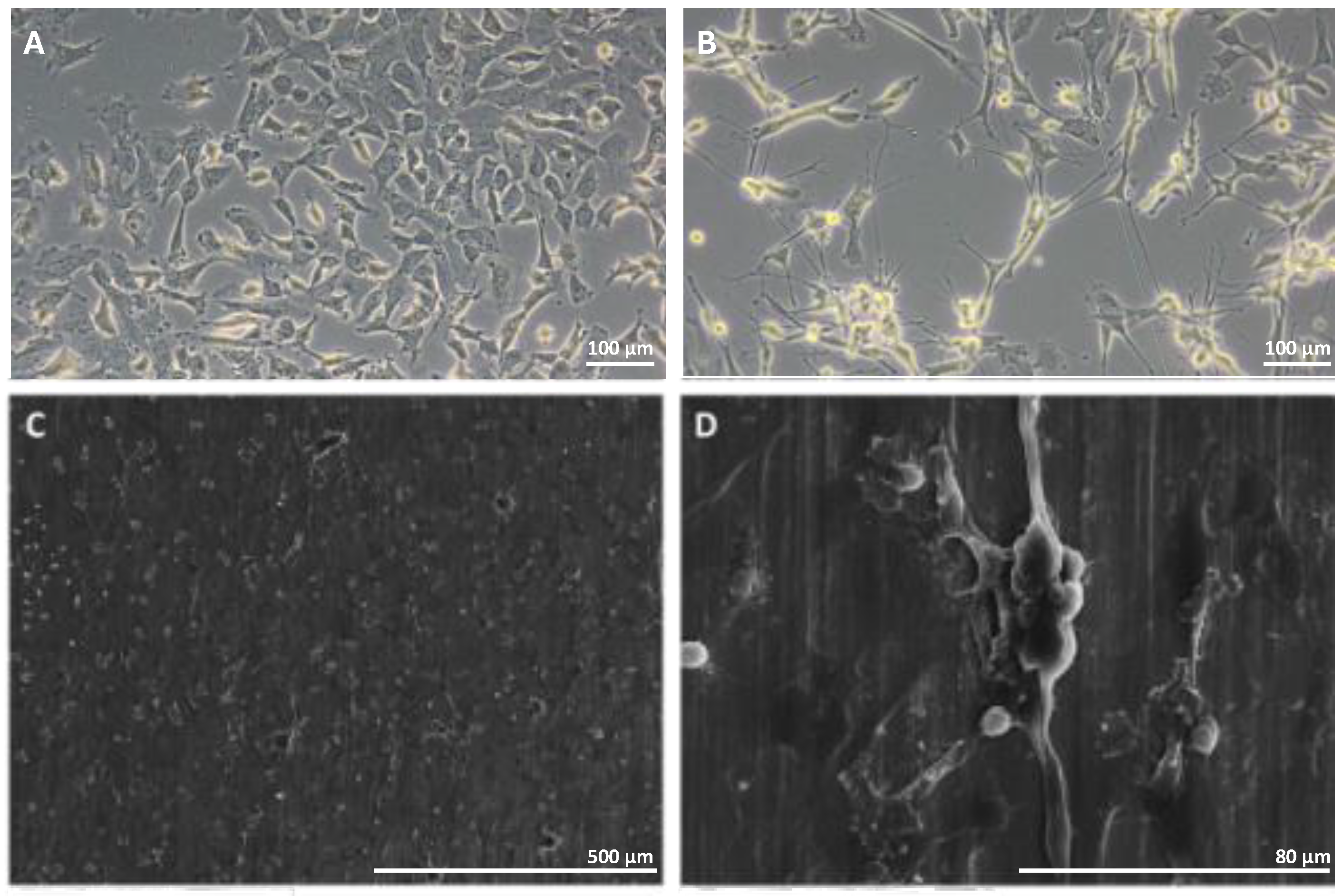 Biomimetics 10 00169 g003 Biomimetics 10 00169 g003