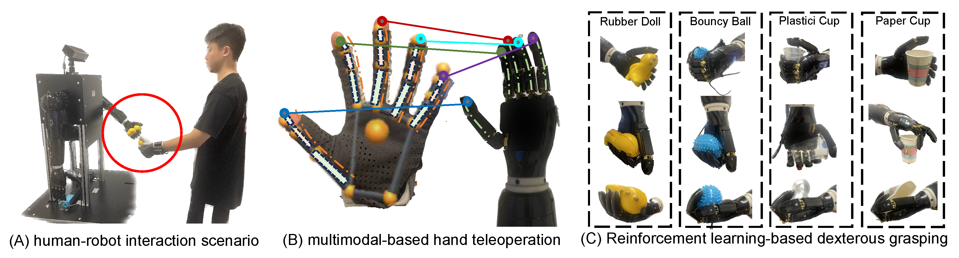 Human-like Dexterous Grasping Through Reinforcement Learning and ...