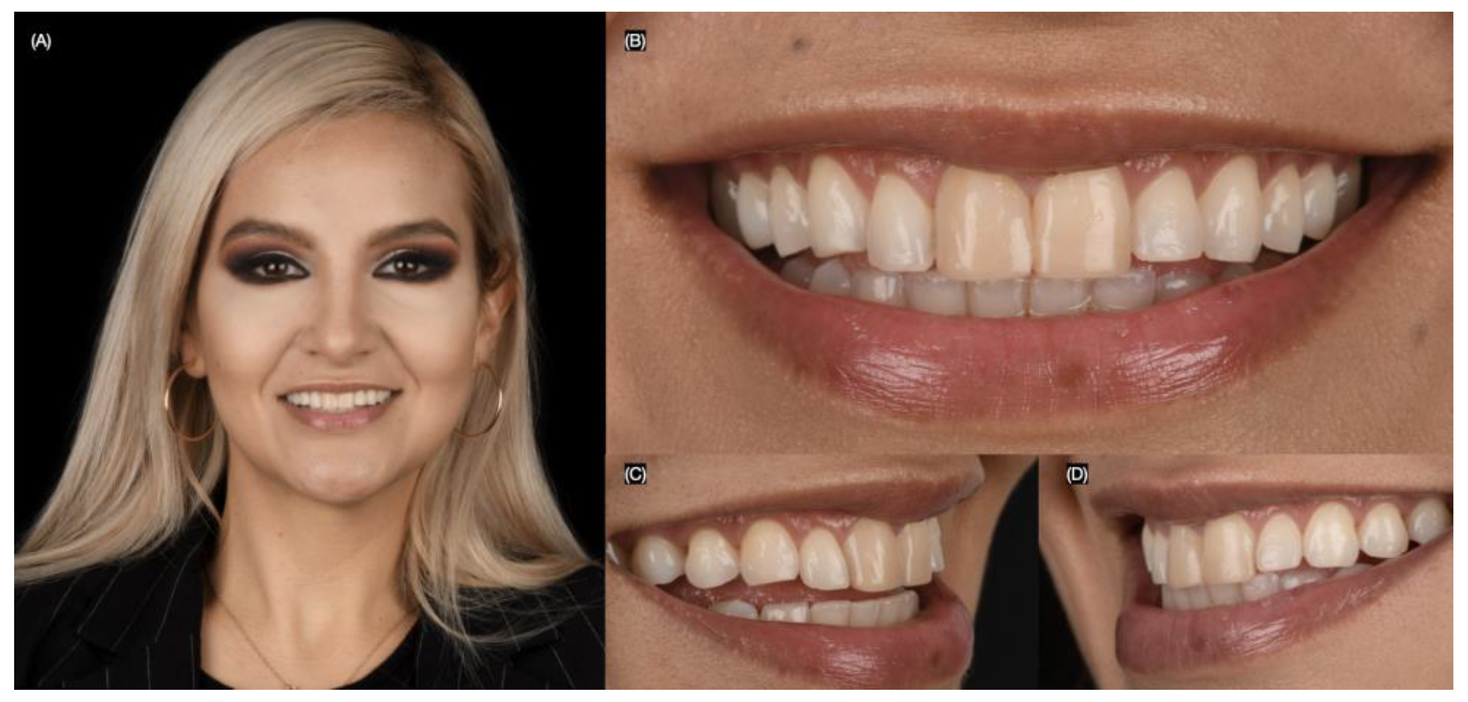 Biomimetics 10 00188 g001