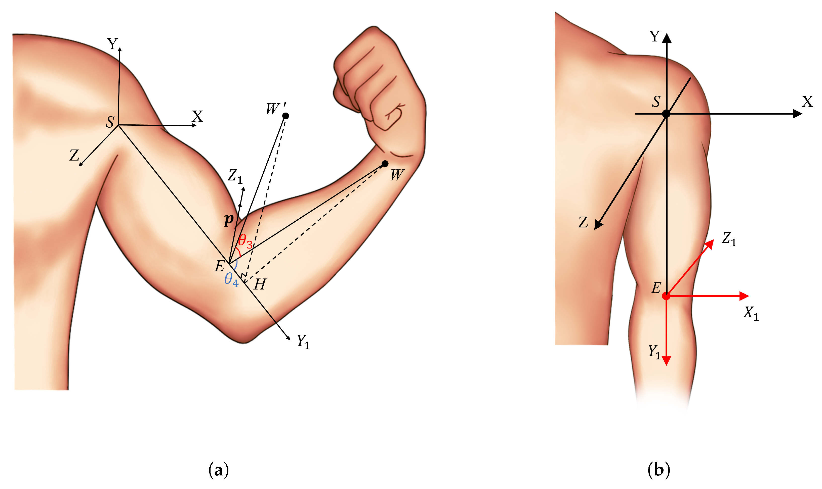 Biomimetics 10 00190 g005
