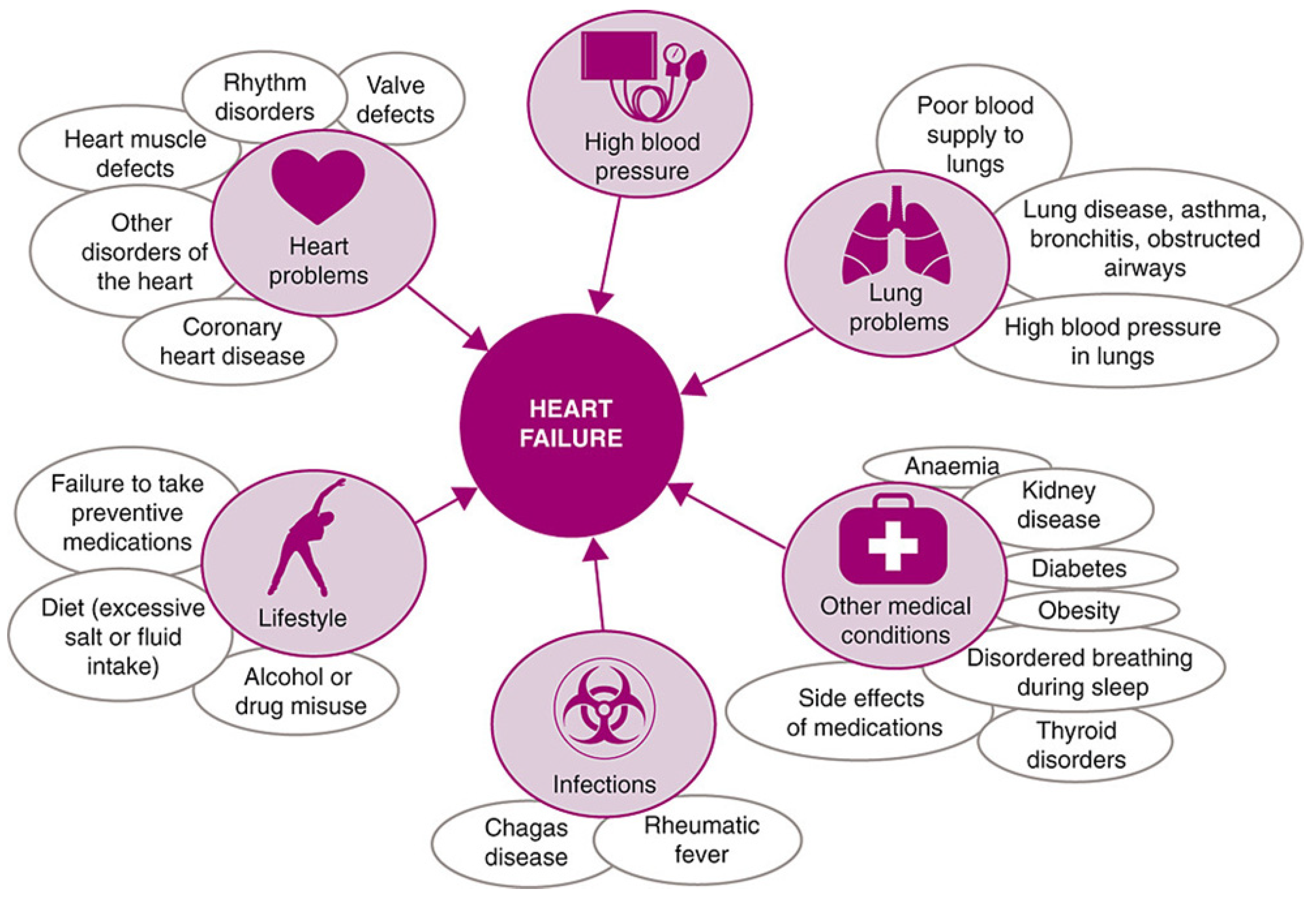 Biomimetics 10 00204 g002