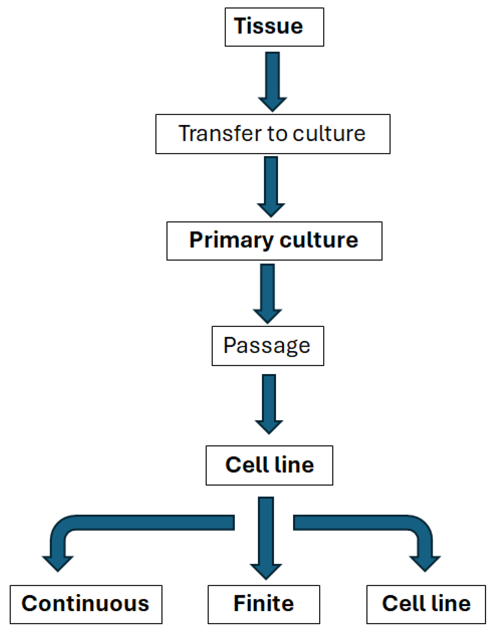 Biomimetics 10 00204 g004