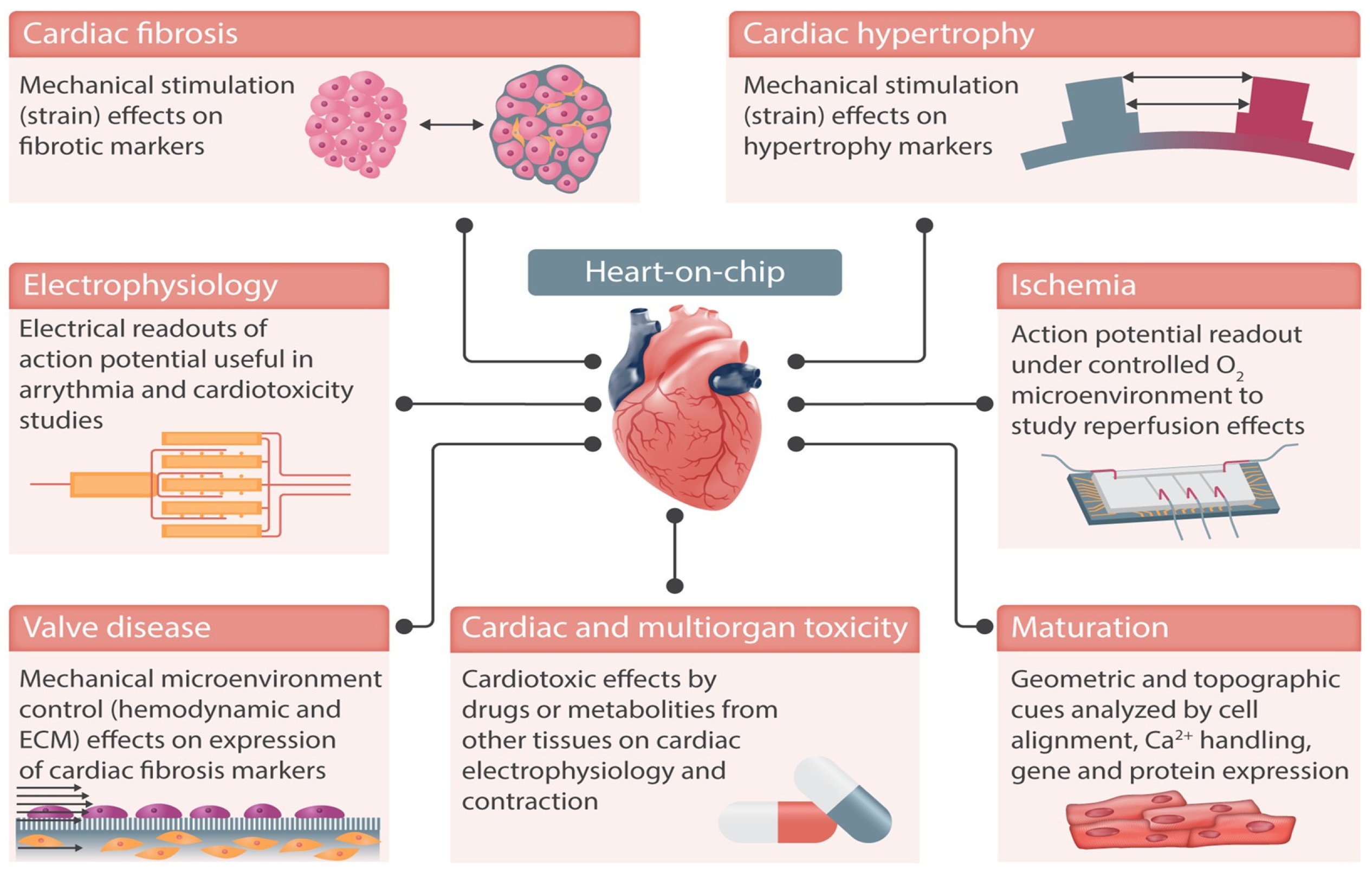 Biomimetics 10 00204 g005