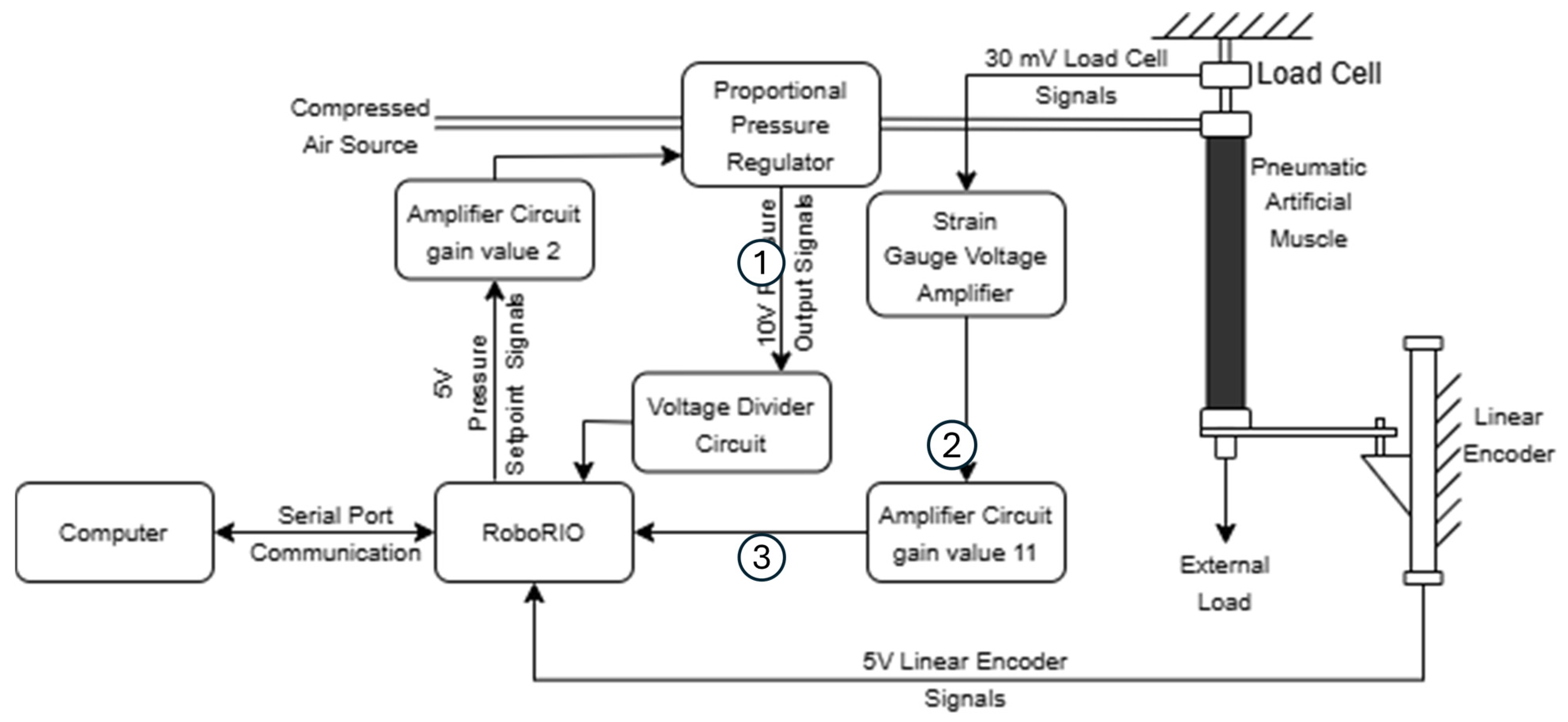 Biomimetics 10 00208 g003