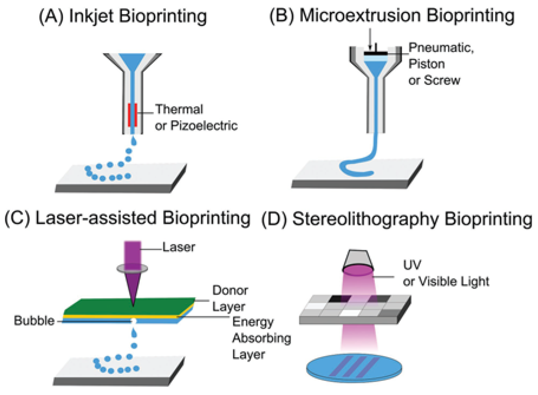 Biomimetics 10 00213 g002 Biomimetics 10 00213 g002