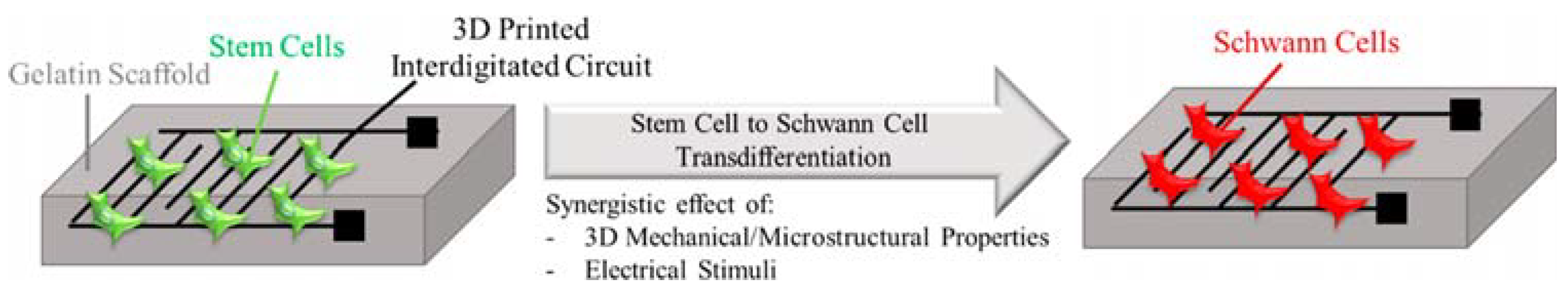 Biomimetics 10 00213 g009 Biomimetics 10 00213 g009