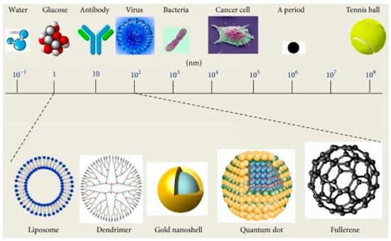 Biomimetics 10 00217 g001