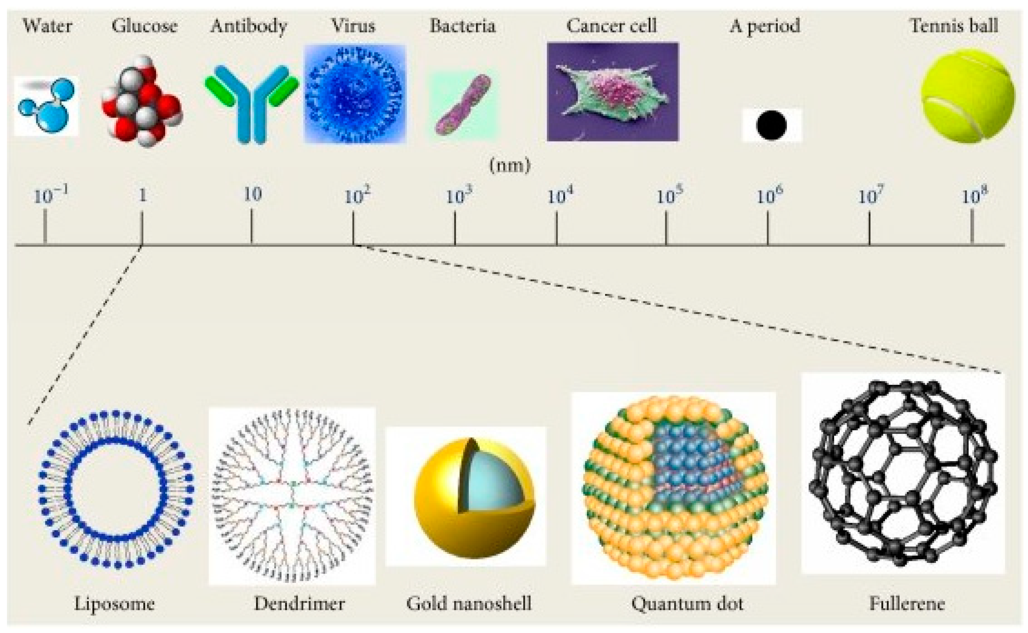 Biomimetics 10 00217 g001 Biomimetics 10 00217 g001