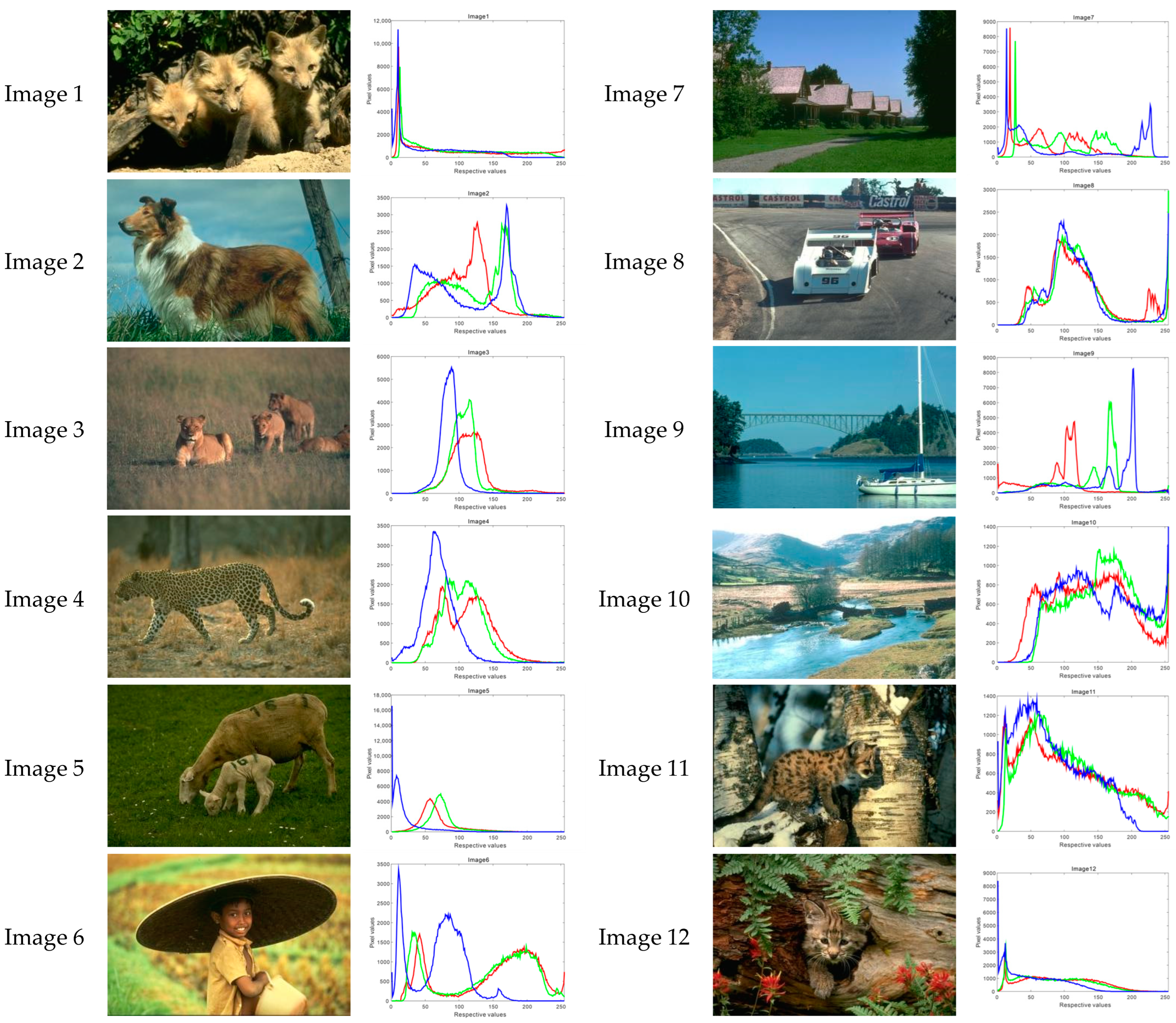 Biomimetics 10 00218 g007