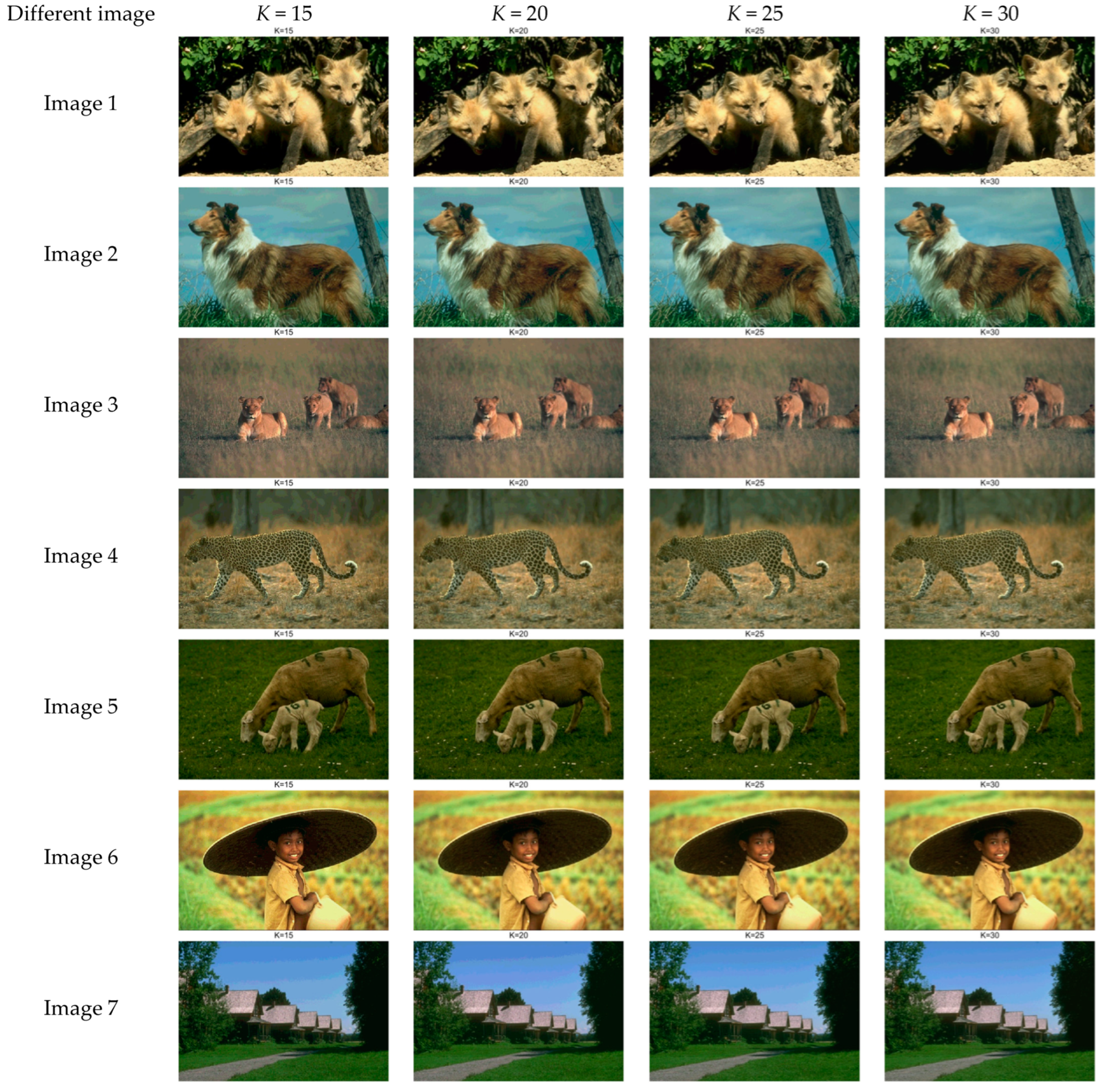 Biomimetics 10 00218 g0a3a