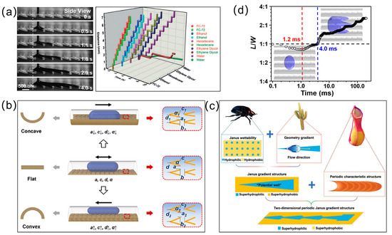 Biomimetics 10 00223 g004