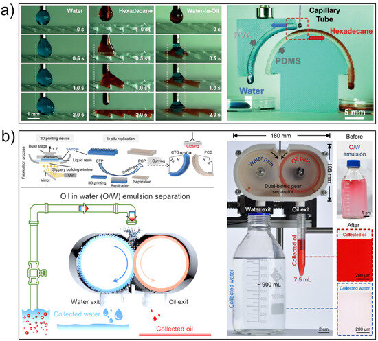 Biomimetics 10 00223 g006