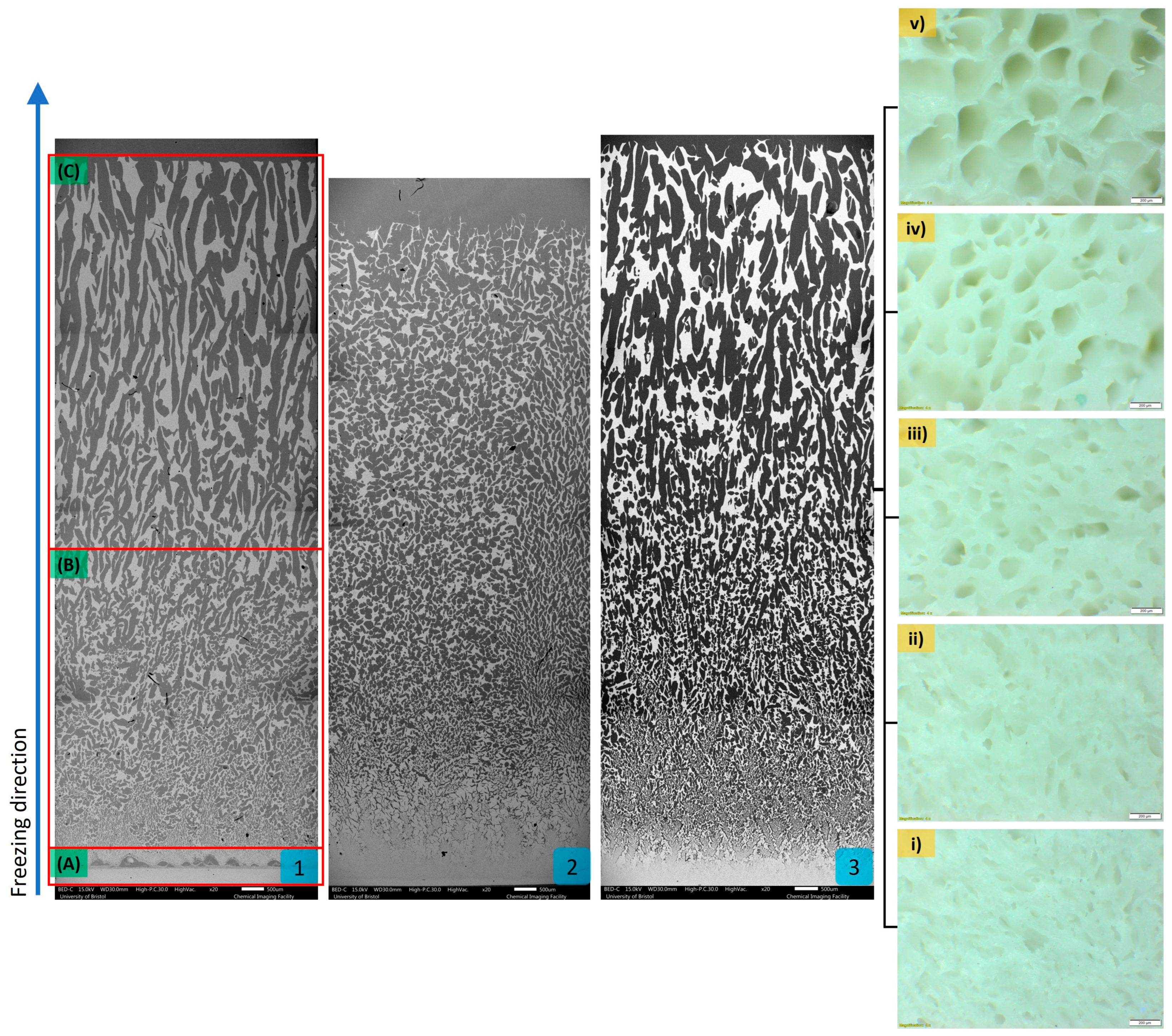 Biomimetics 10 00227 g002 Biomimetics 10 00227 g002
