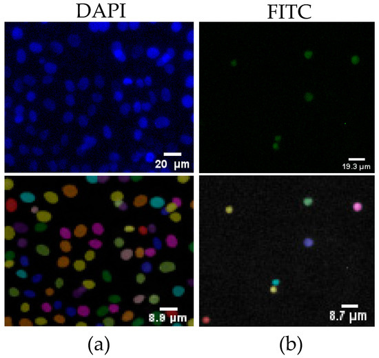 Biomimetics 10 00247 g0a1