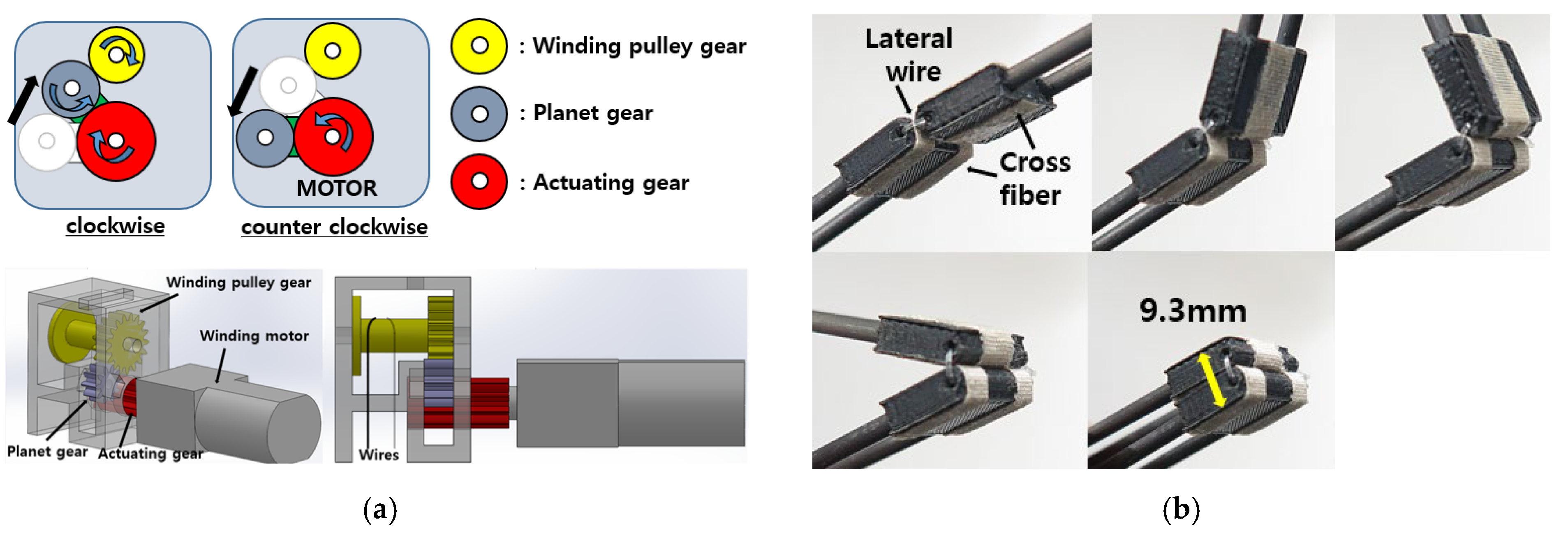 Biomimetics 10 00264 g004