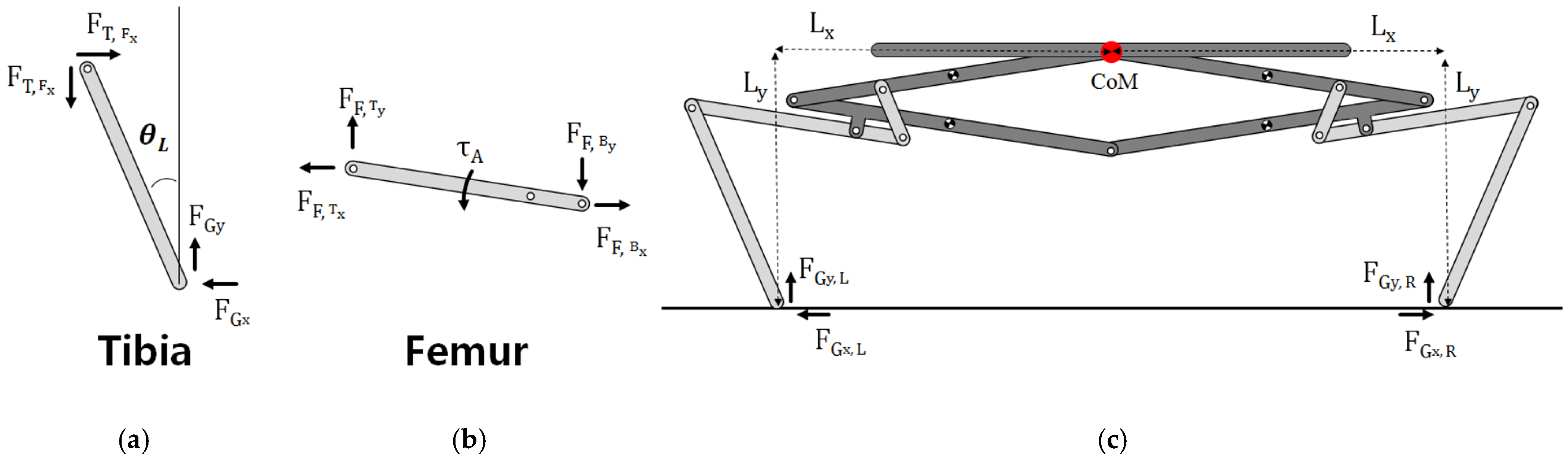 Biomimetics 10 00264 g005
