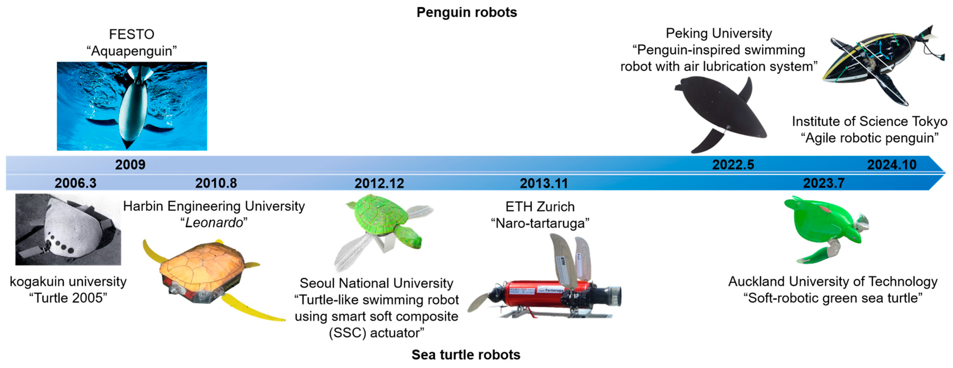 Biomimetics 10 00272 g001