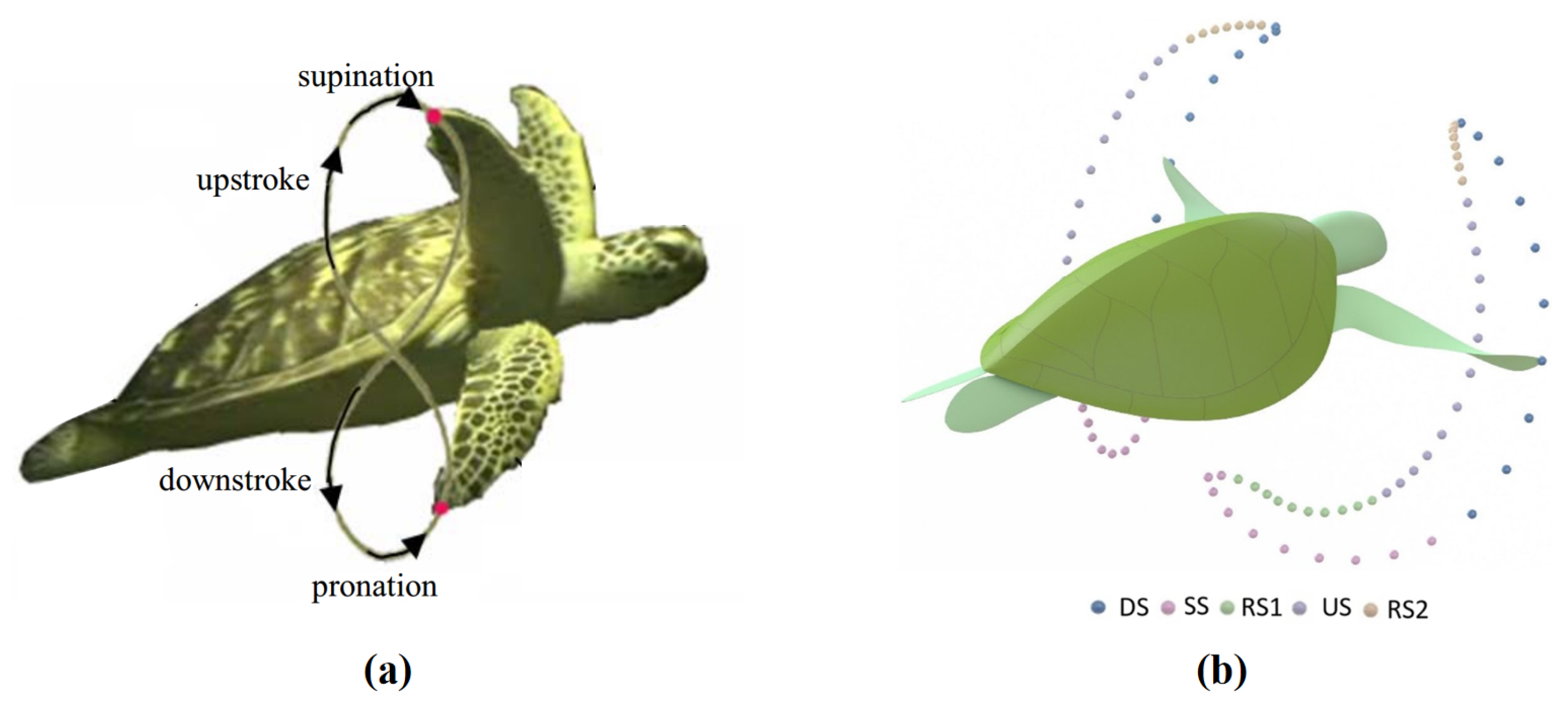 Biomimetics 10 00272 g002