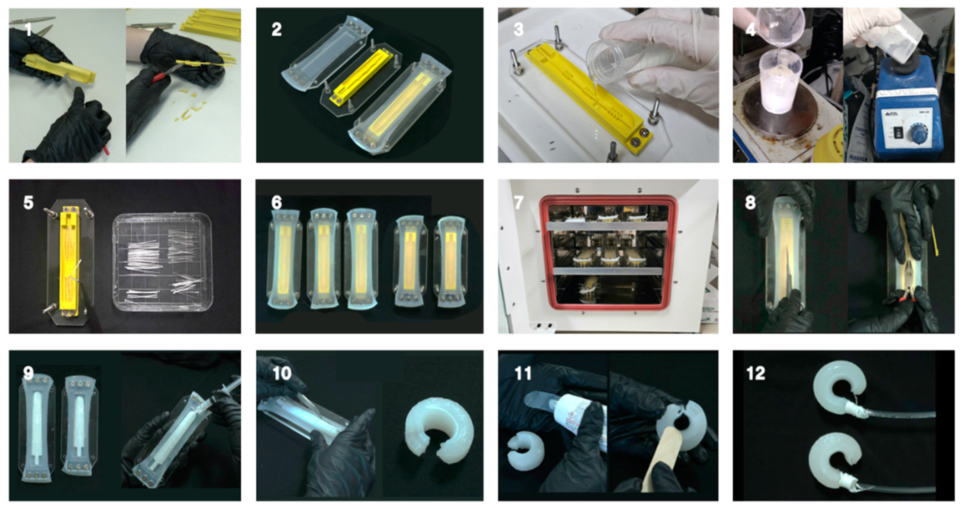 Biomimetics 10 00284 g007 Biomimetics 10 00284 g007