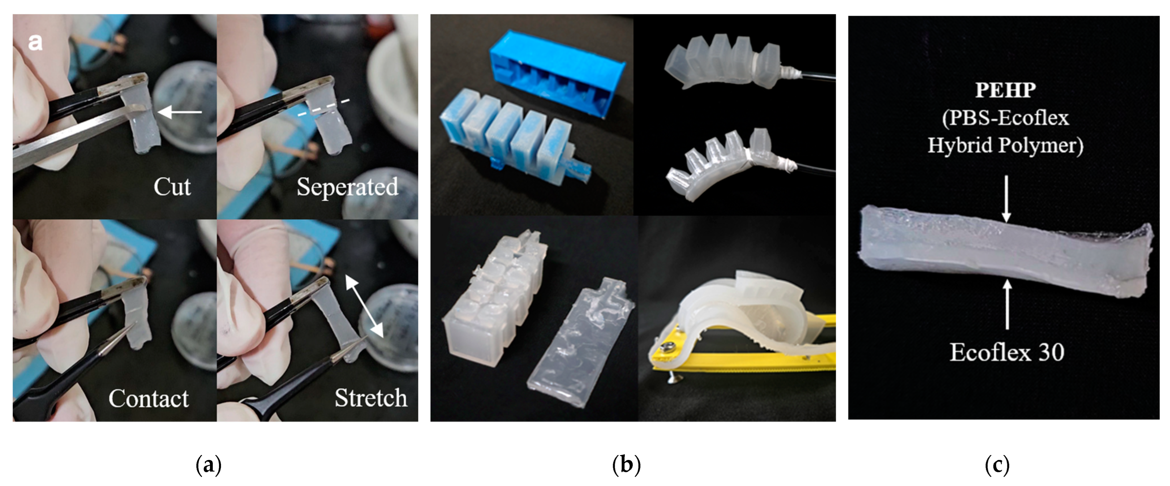 Biomimetics 10 00284 g010 Biomimetics 10 00284 g010