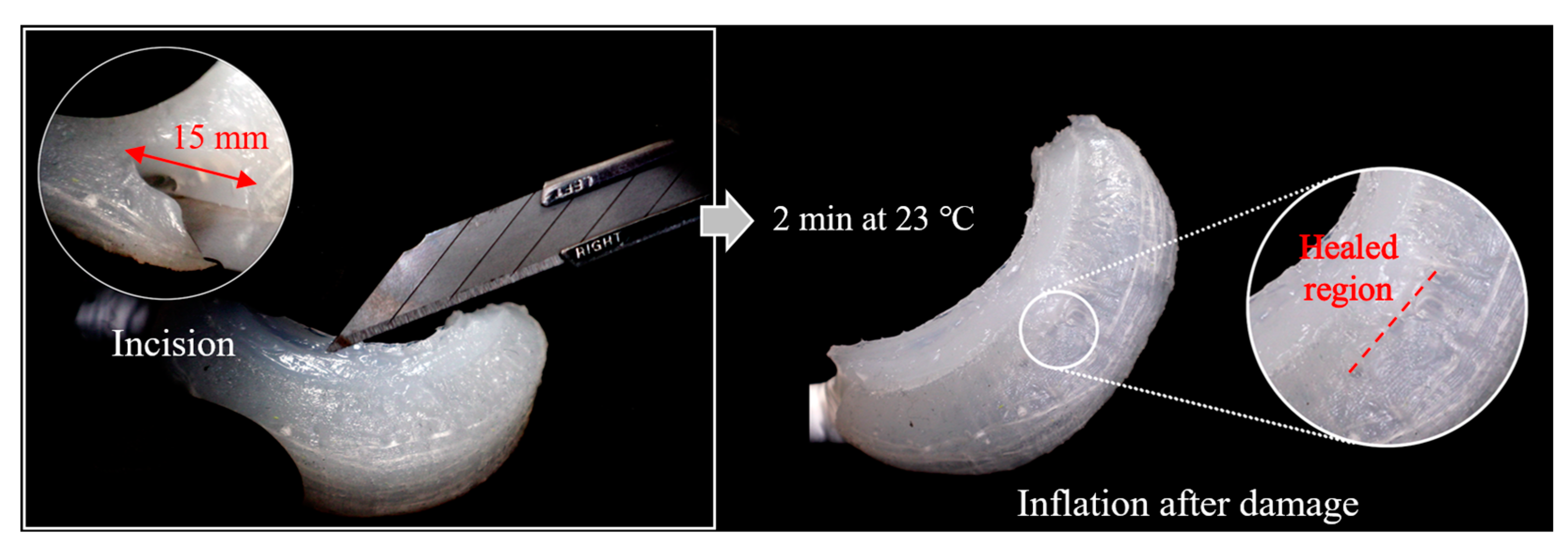 Biomimetics 10 00284 g014 Biomimetics 10 00284 g014