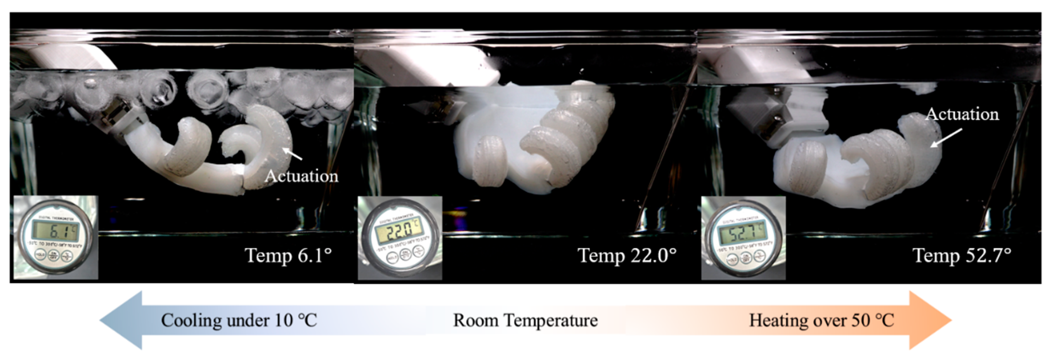 Biomimetics 10 00284 g018 Biomimetics 10 00284 g018