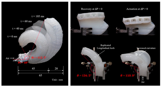 Biomimetics 10 00284 g0a4