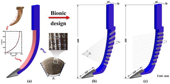 Biomimetics 10 00306 g001