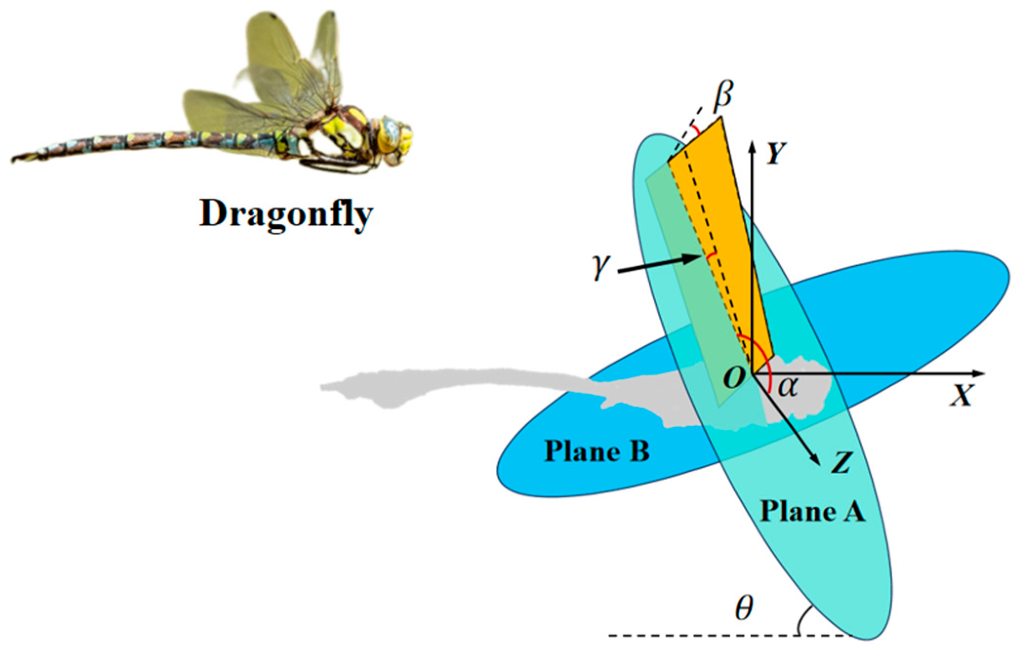 Biomimetics 10 00309 g003