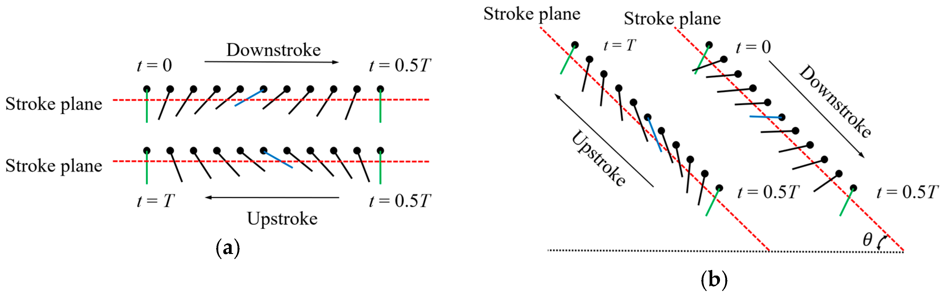 Biomimetics 10 00309 g004