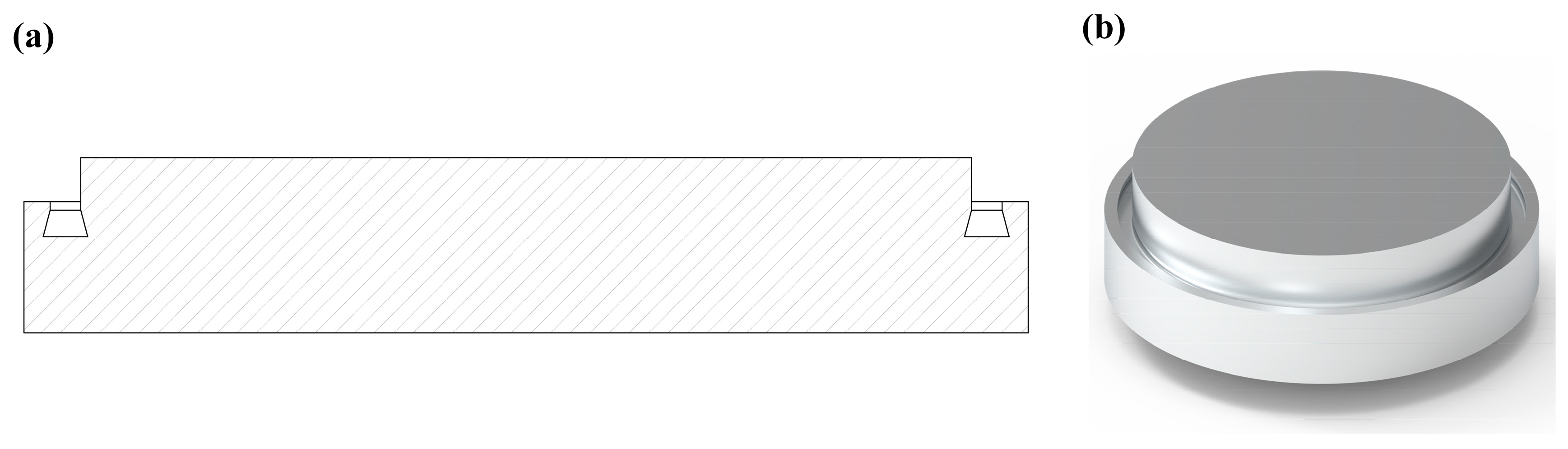 Biomimetics 10 00322 g003