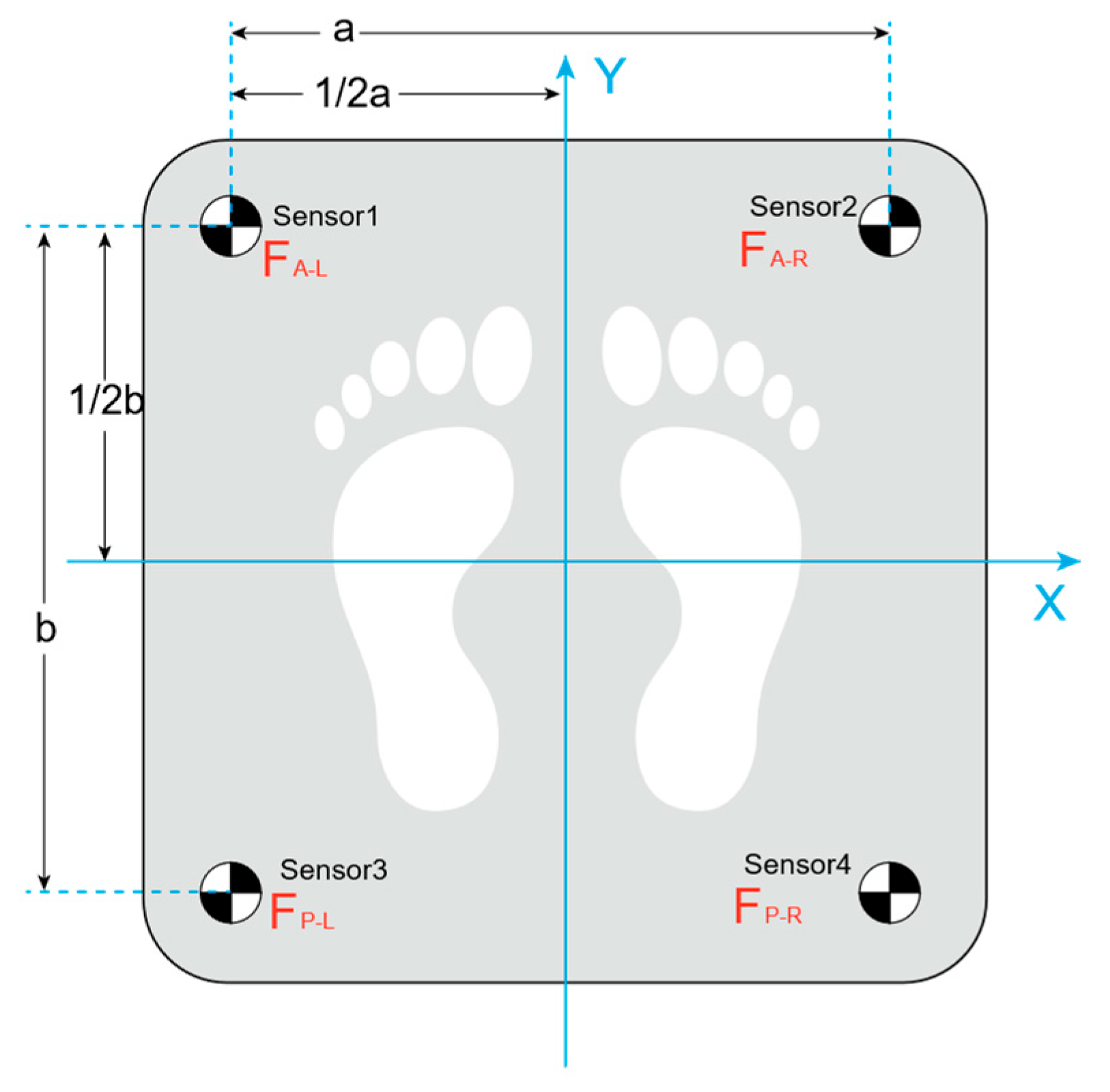 Biomimetics 10 00330 g016