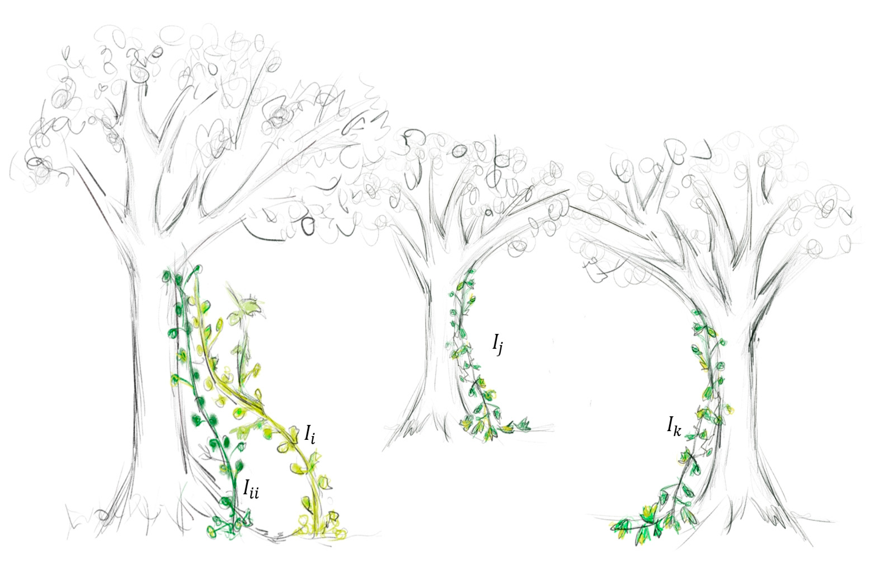 Biomimetics 10 00342 g002