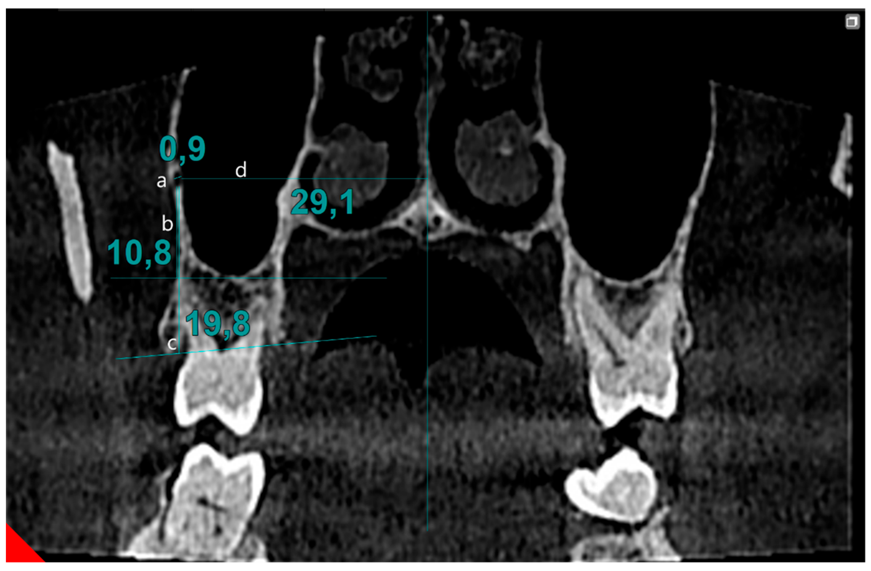 Biomimetics 10 00352 g001