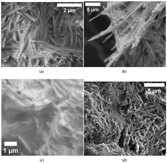 Biomimetics 10 00360 g009