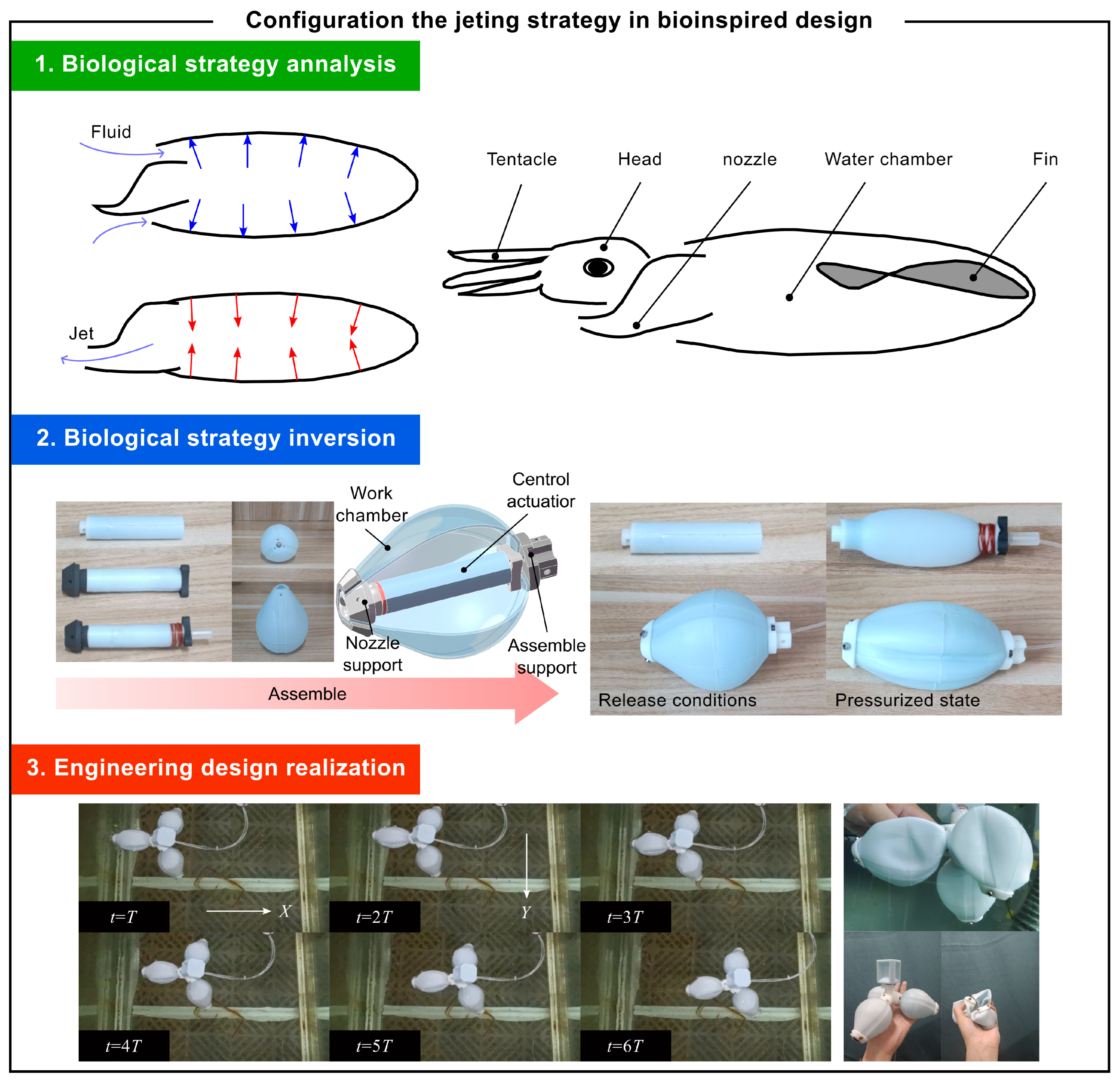 Biomimetics 10 00362 g010 Biomimetics 10 00362 g010
