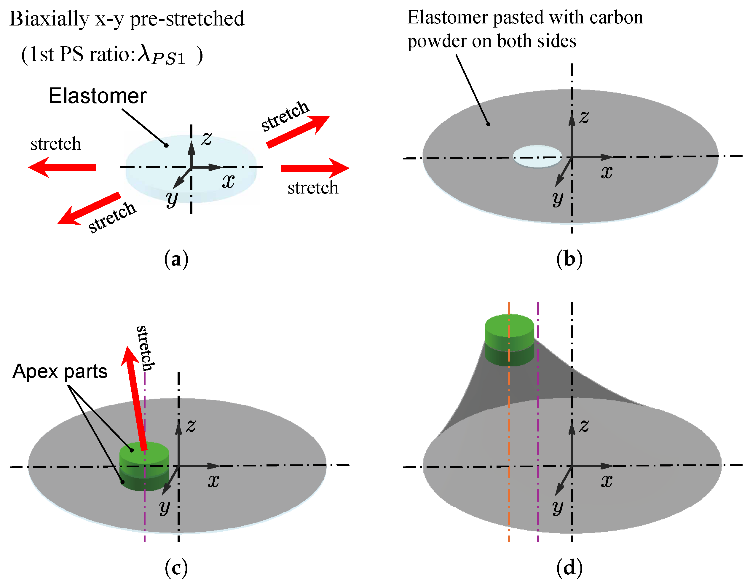 Biomimetics 10 00365 g001