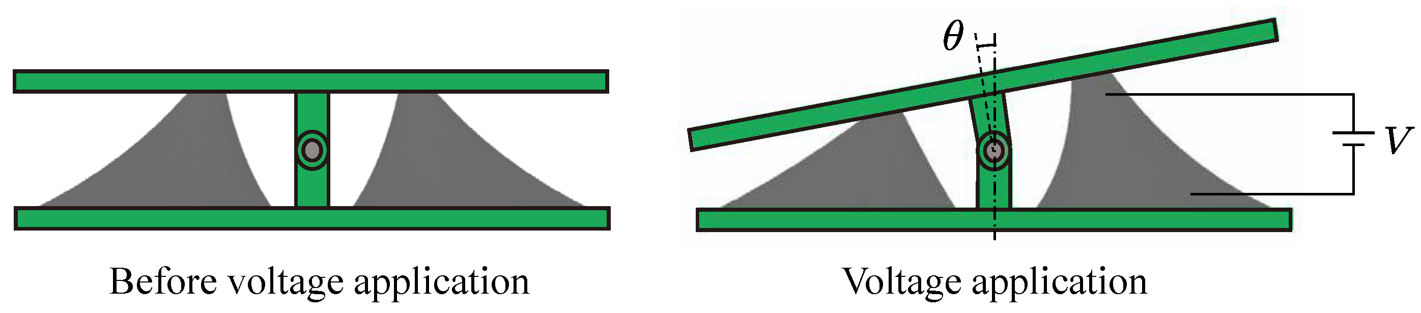 Biomimetics 10 00365 g003