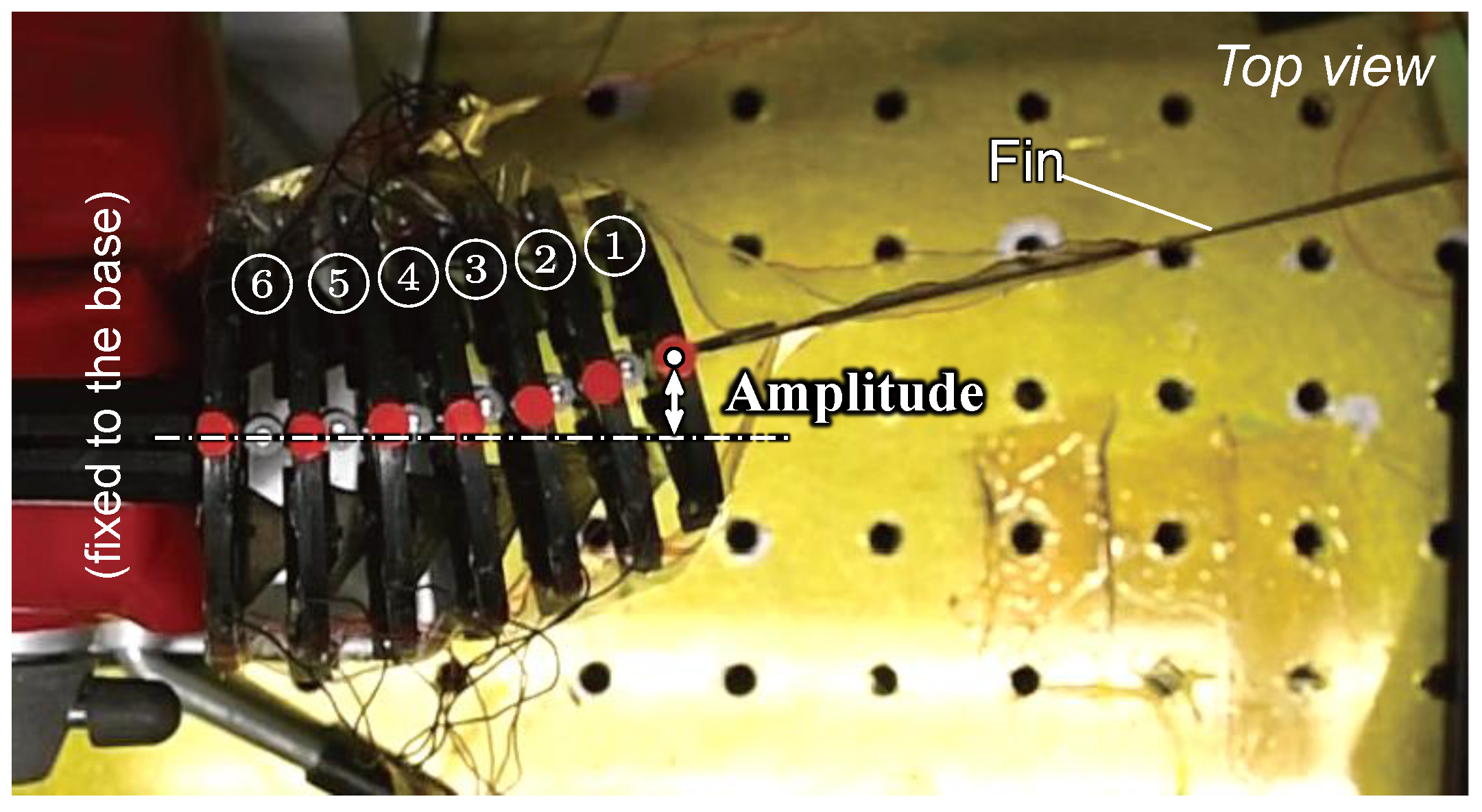 Biomimetics 10 00365 g017