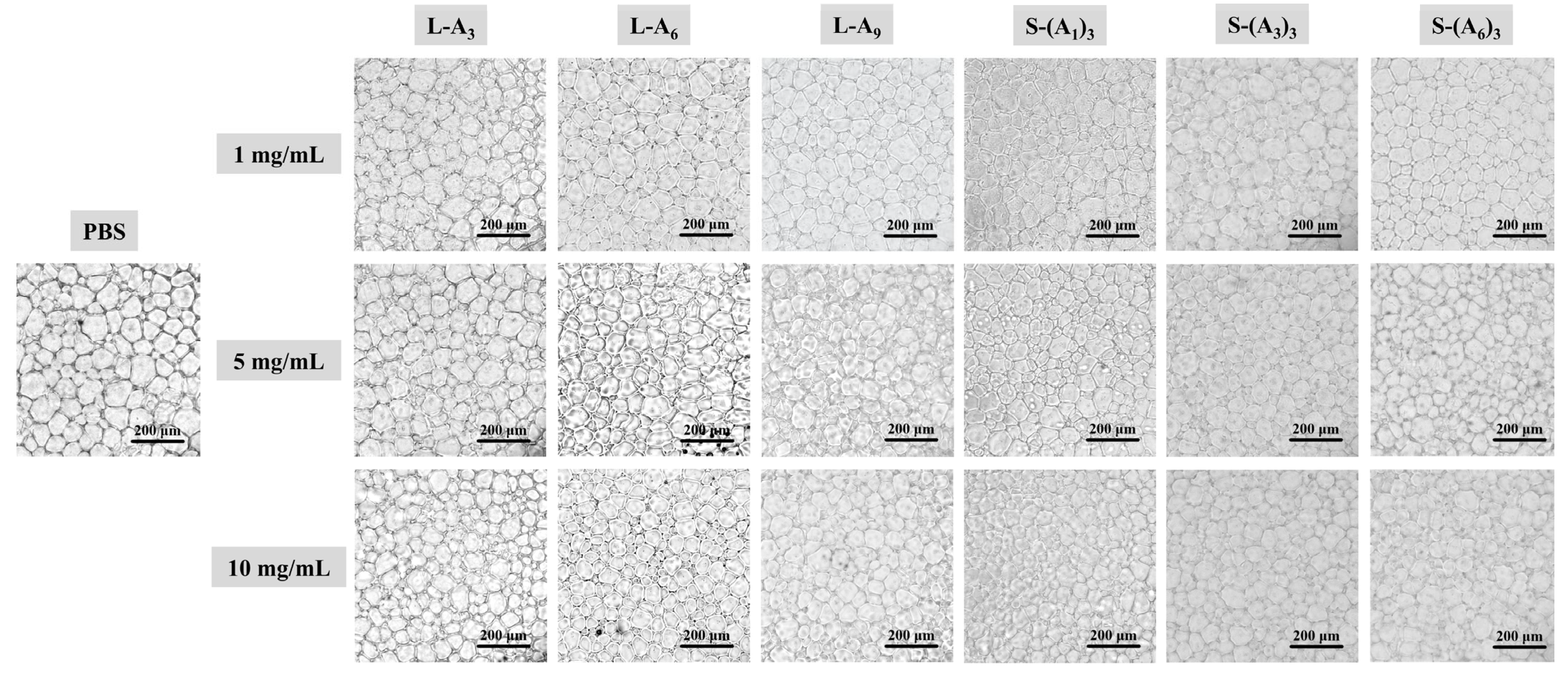Biomimetics 10 00368 g001 Biomimetics 10 00368 g001