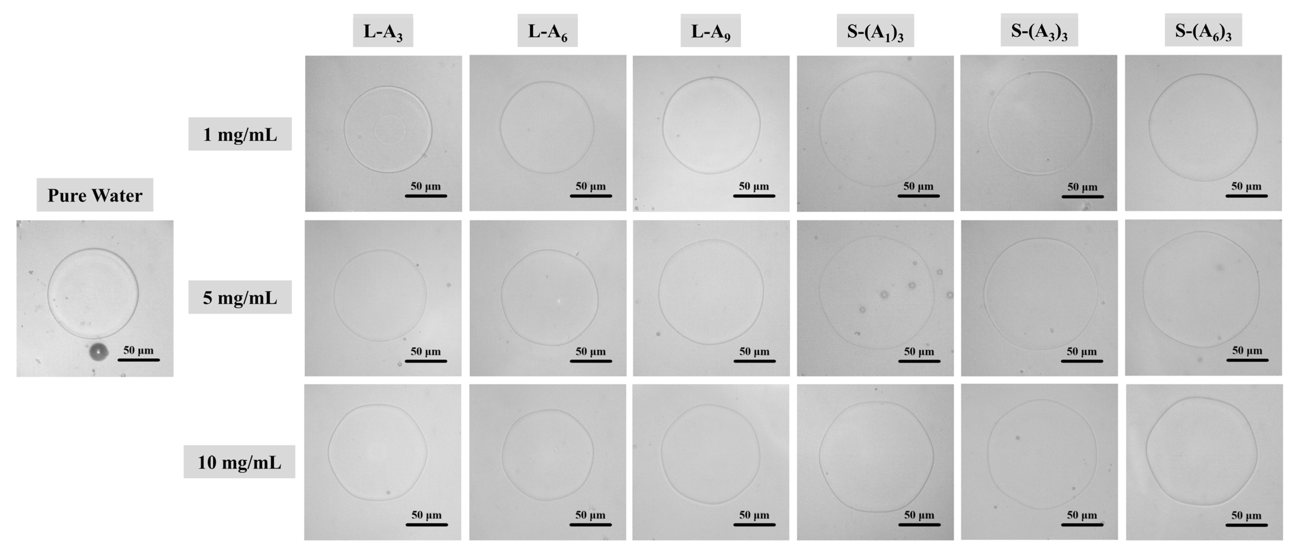 Biomimetics 10 00368 g003 Biomimetics 10 00368 g003