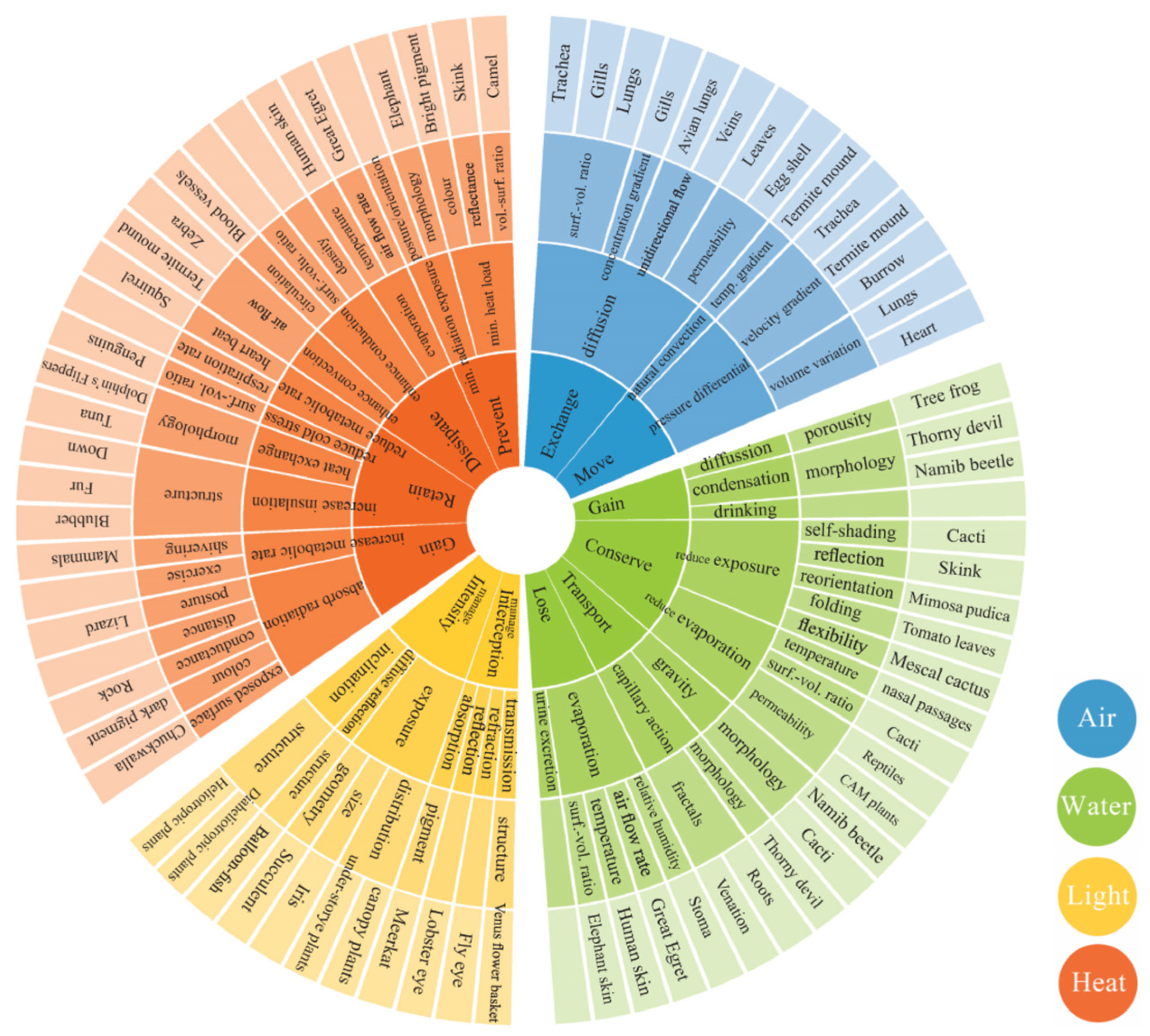 Biomimetics 10 00369 g003